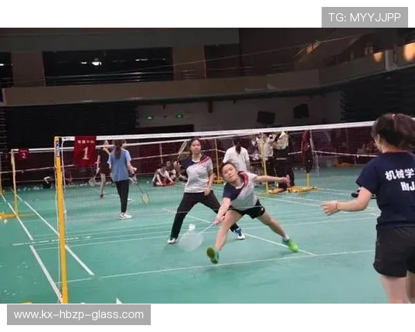 南京羽毛球队总决赛技术分析与表现评估全面解读