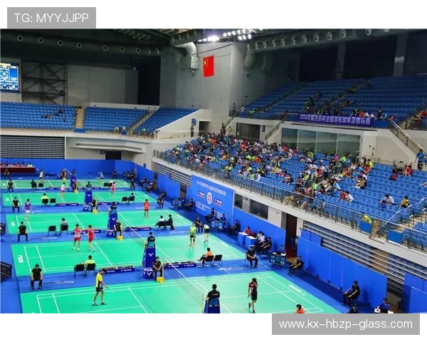 重庆羽毛球队在世界锦标赛中的表现分析与状态评估 重庆羽毛球队在世界锦标赛中的表现分析与状态评估